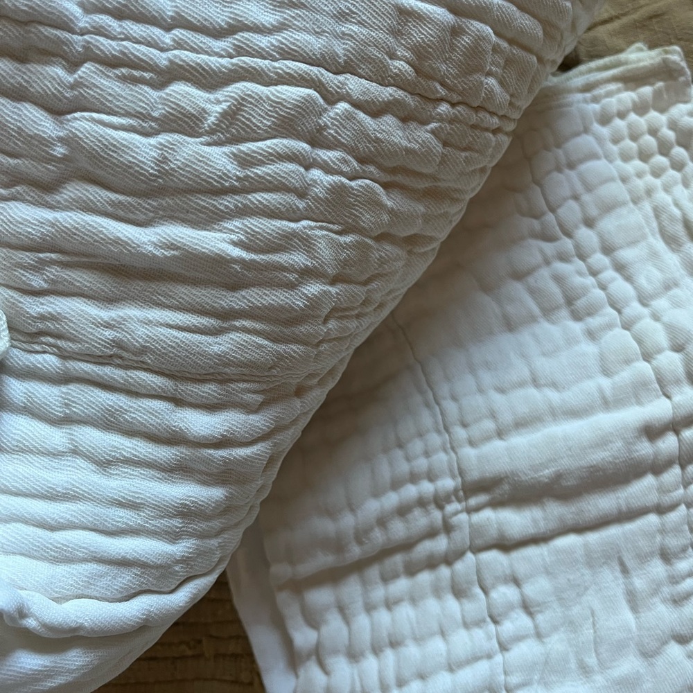 White medium trifolds